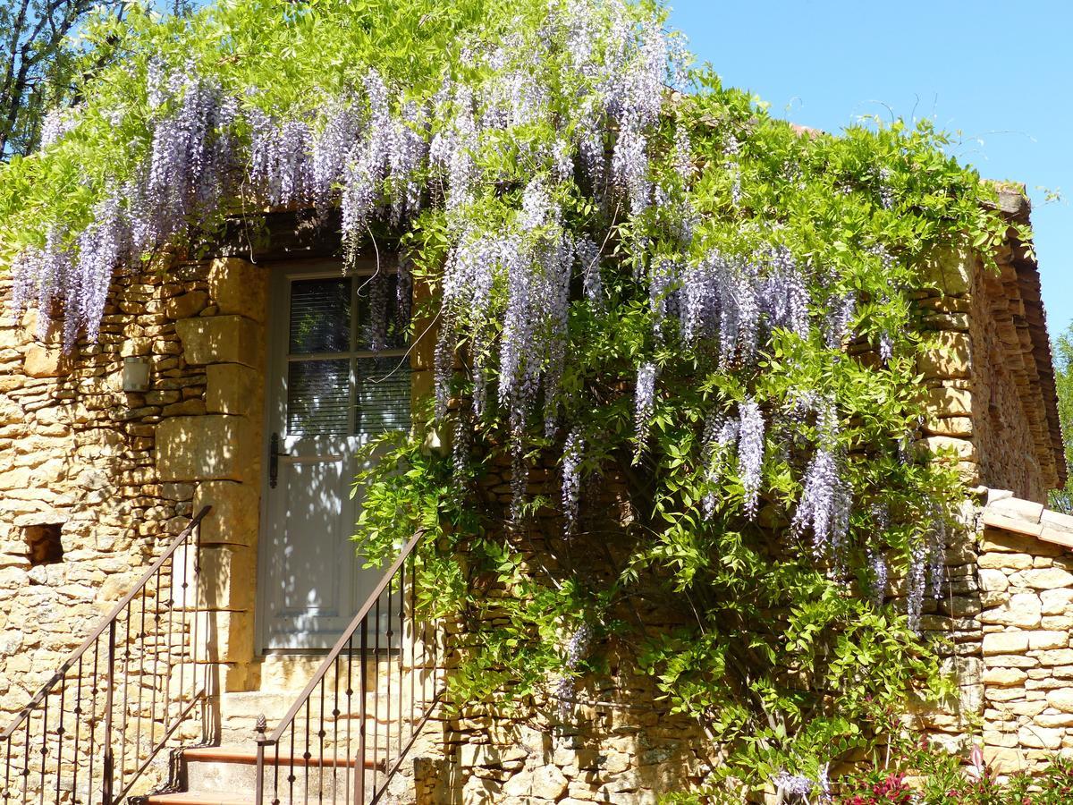 Chambres D'Hotes Les Boudines Saint-Germain-de-Belves Phòng bức ảnh