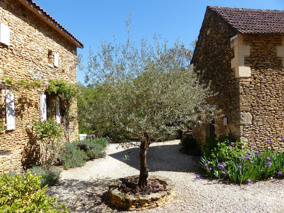 Chambres D'Hotes Les Boudines Saint-Germain-de-Belves Ngoại thất bức ảnh
